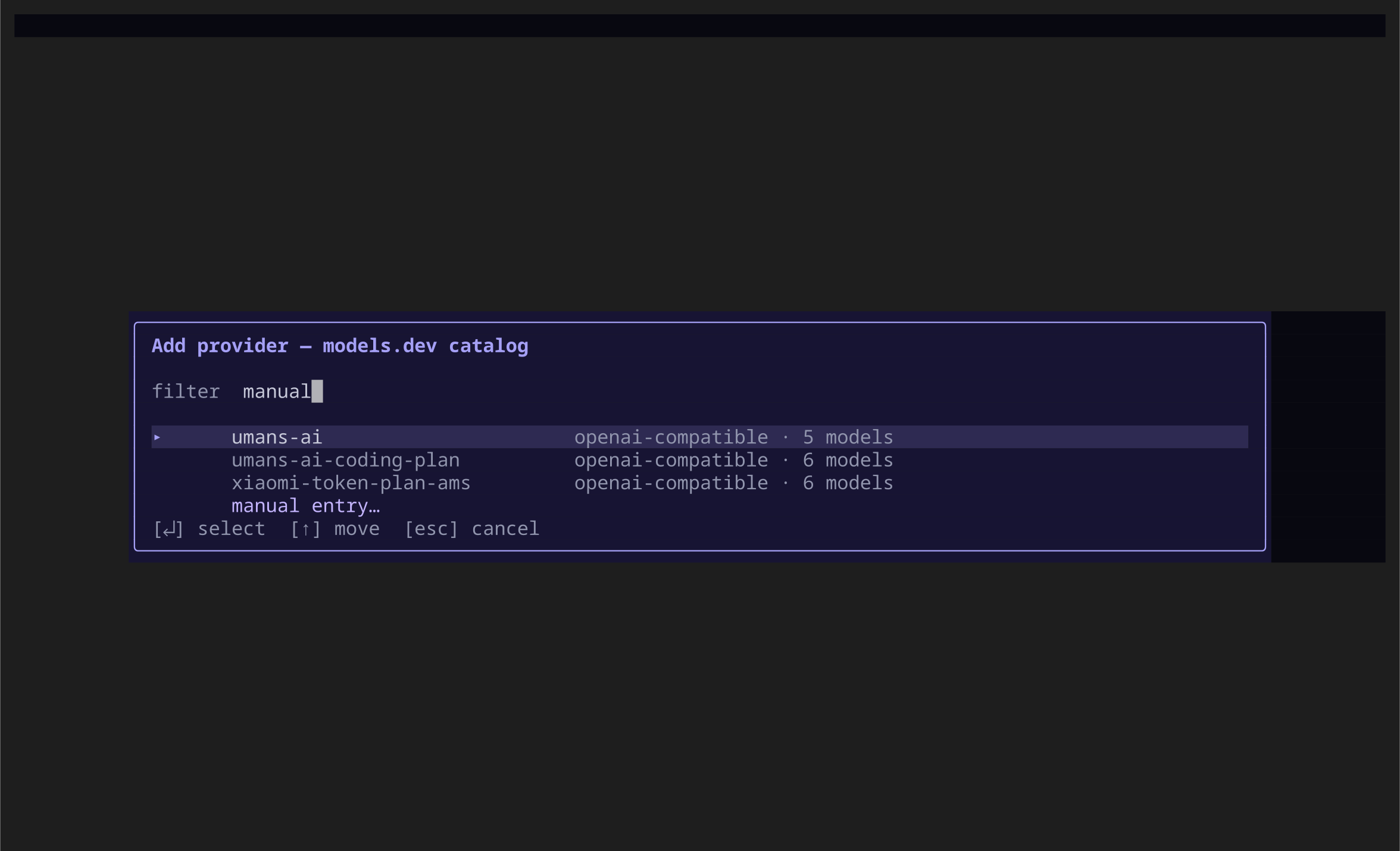 Add provider dialog filtered to show the manual entry option